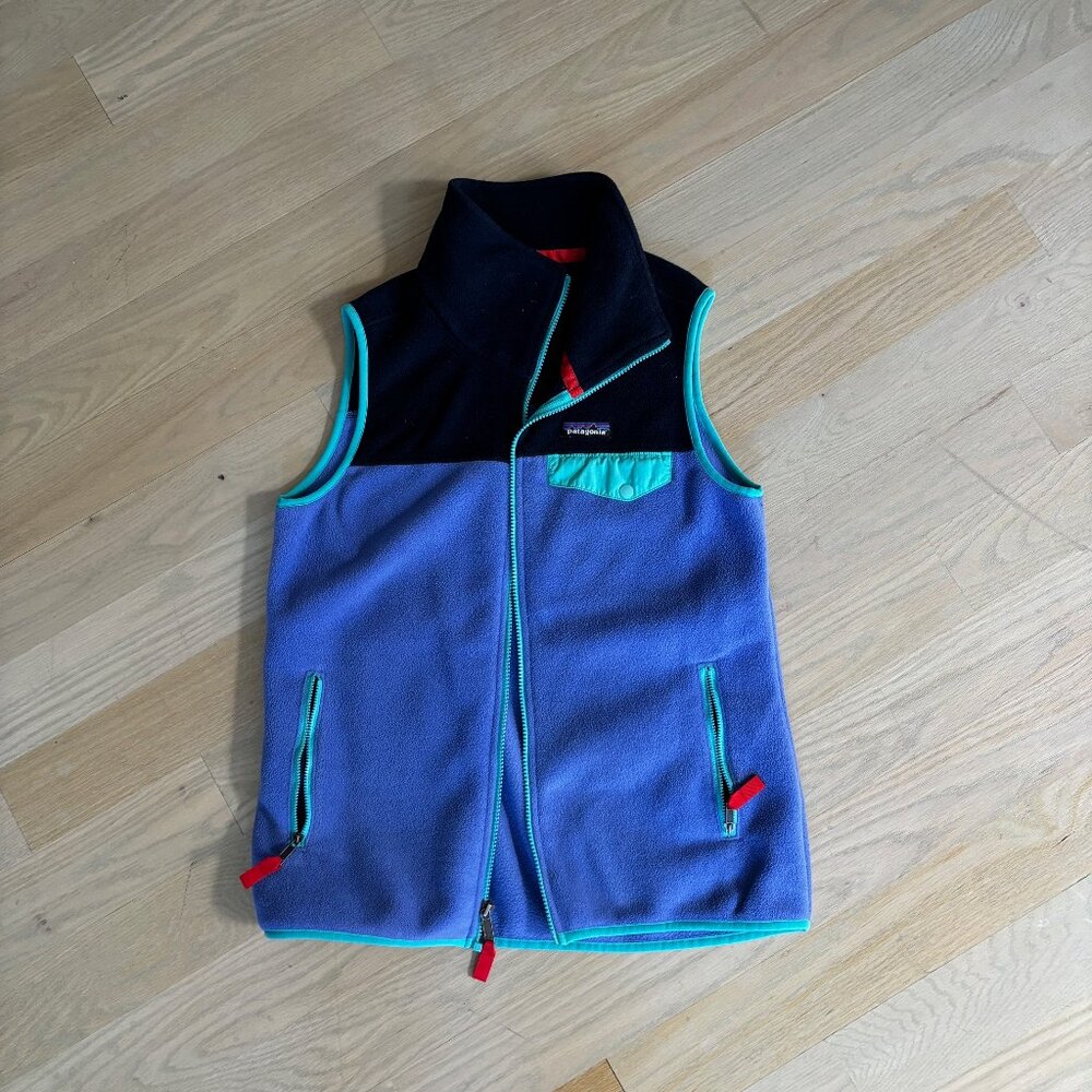 Patagonia Colorblock Synchilla Vest